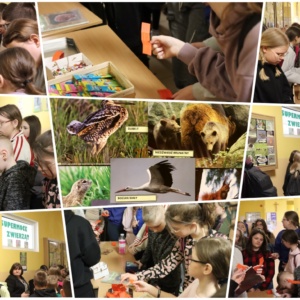 Supermoce naszych zwierząt